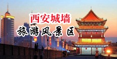大黑屌肏大屄黄片中国陕西-西安城墙旅游风景区